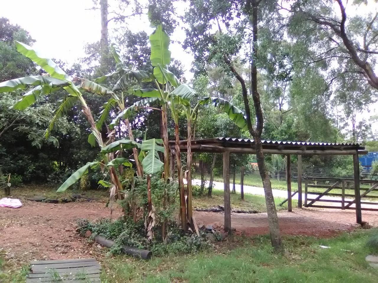 Morro Del Tesoro II Villa Punta del Este Bagian luar foto