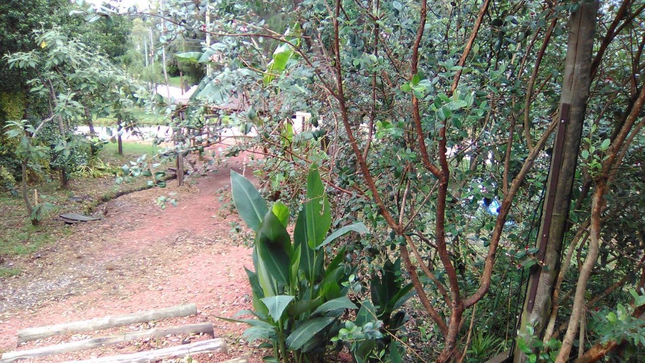 Morro Del Tesoro II Villa Punta del Este Bagian luar foto